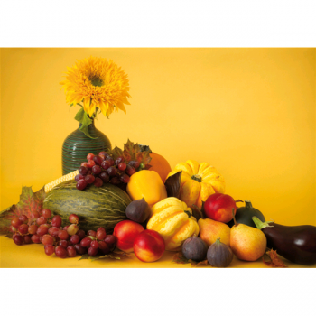 HERFST BIJ DE DEUREN G3952 PINTDECOR