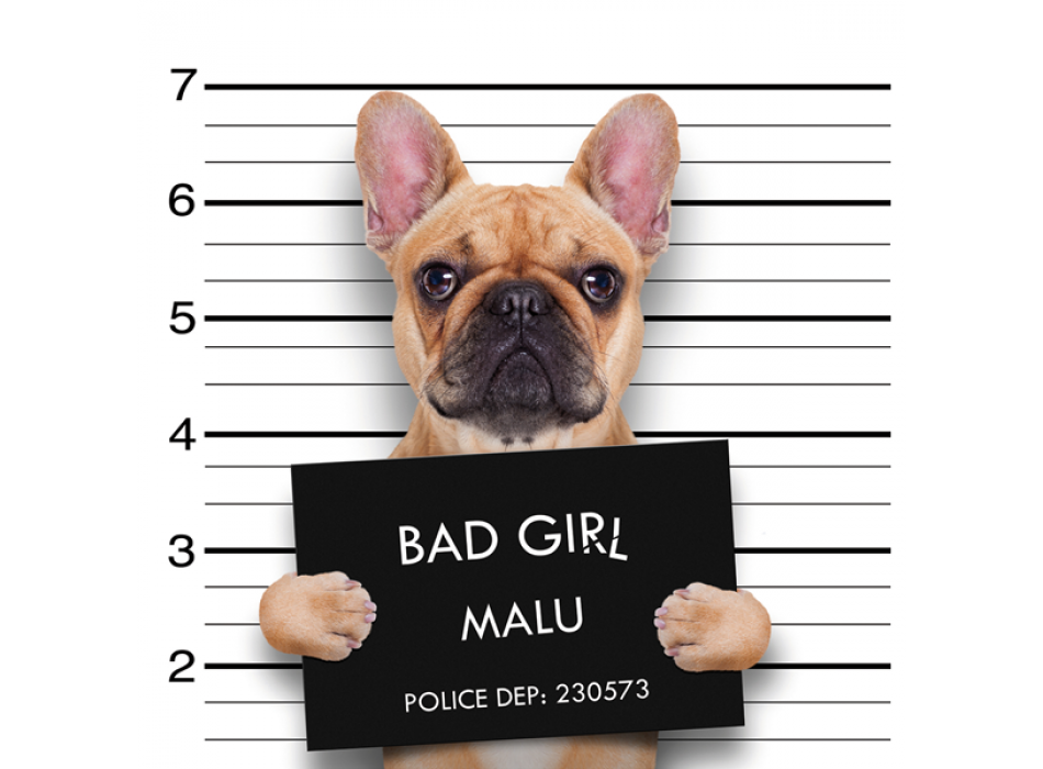 BAD GIRL frame G2052 PINTDECOR
