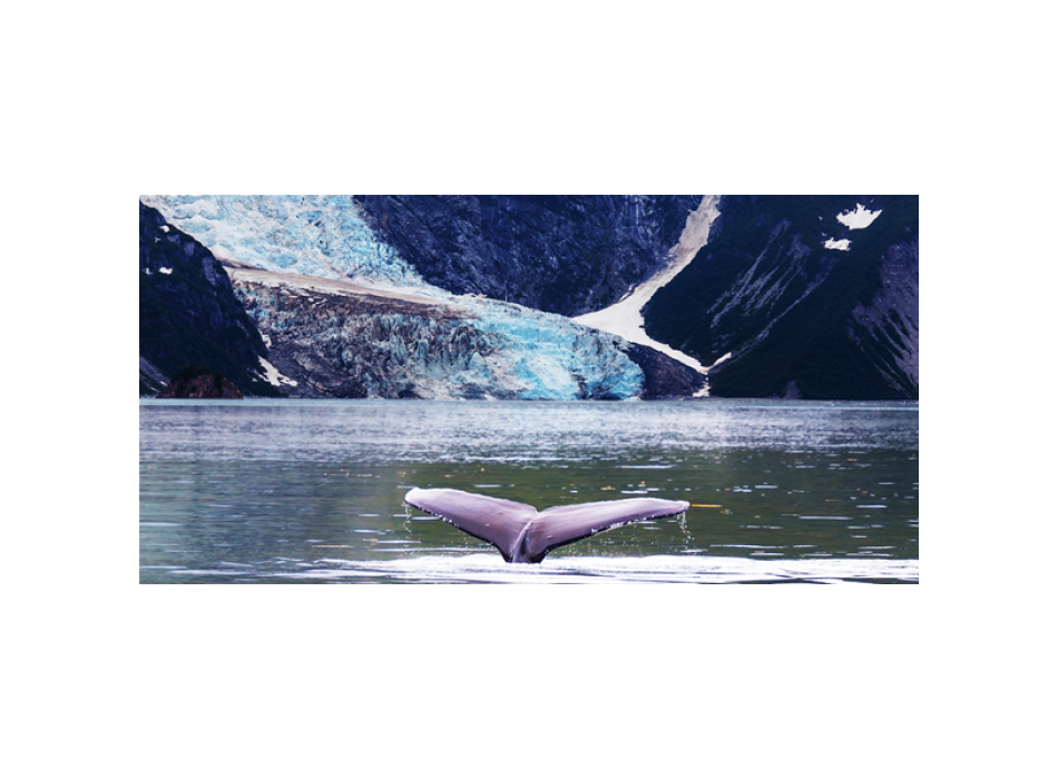 Walvisschilderij G1534 PINTDECOR