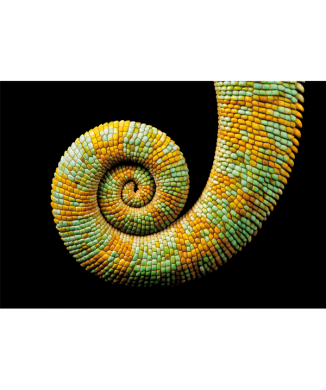 CHAMELEON G3246 PINTDECOR Schilderij