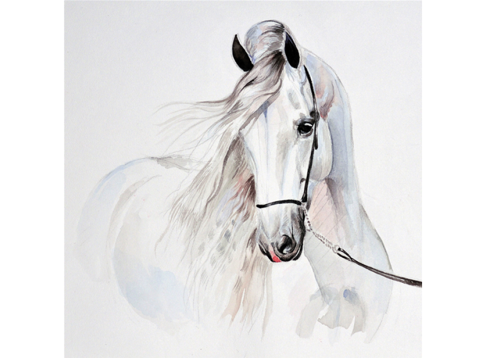 WIT PAARD G2006 PINTDECOR schilderij