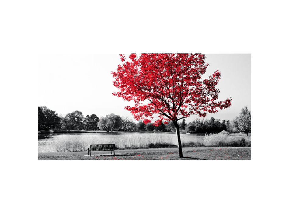 CENTRAL PARK schilderij G2524 PINTDECOR