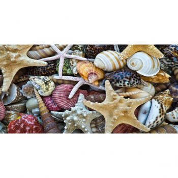 Schilderen van schelpen G2034 PINTDECOR