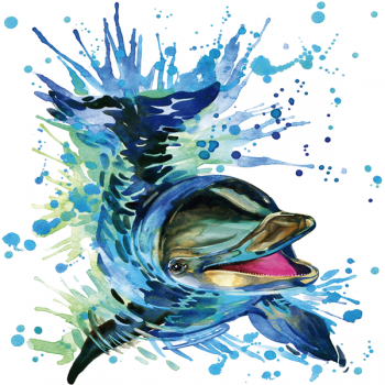 DELFINO schilderij G2362 PINTDECOR