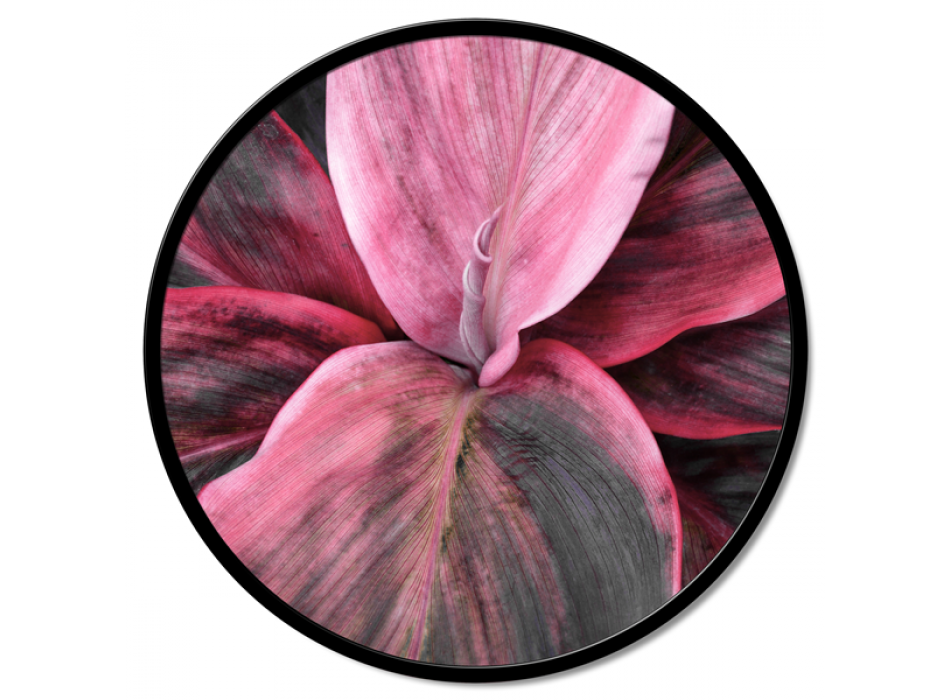 FLORAL DETAIL GT6188 PINTDECOR