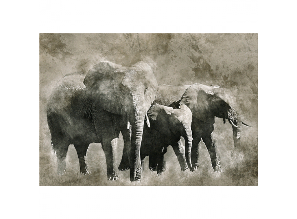 Schilderij OLIFANTEN G6004 PINTDECOR