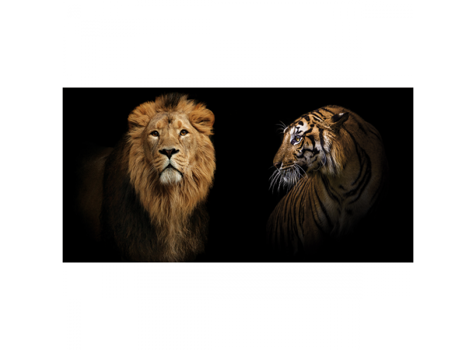 FELINI G3280 PINTDECOR Schilderen