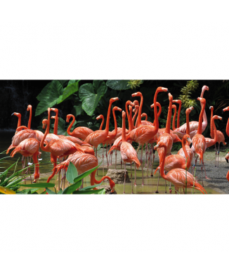 Schilderij FLAMINGO G1538 PINTDECOR