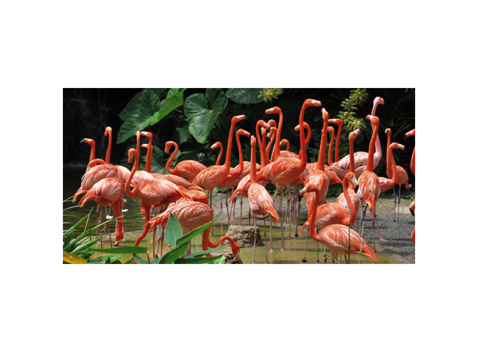 Schilderij FLAMINGO G1538 PINTDECOR