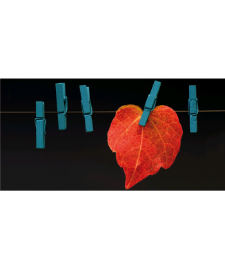 Schilderij met uitgerekt blad G5806 PINTDECOR