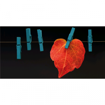 Schilderij met uitgerekt blad G5806 PINTDECOR