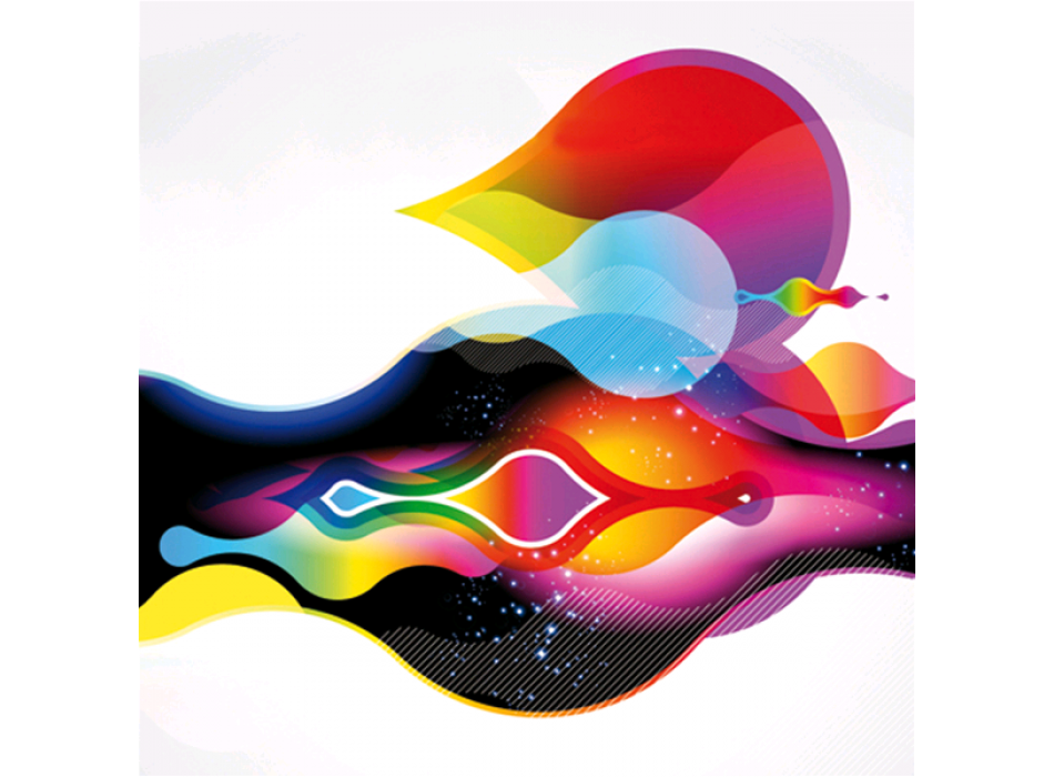 FORME G3986 PINTDECOR schilderij