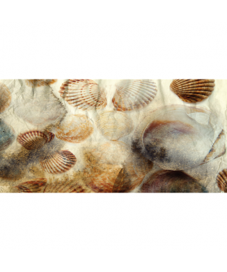 Schilderij met schelpfossielen G2038 PINTDECOR