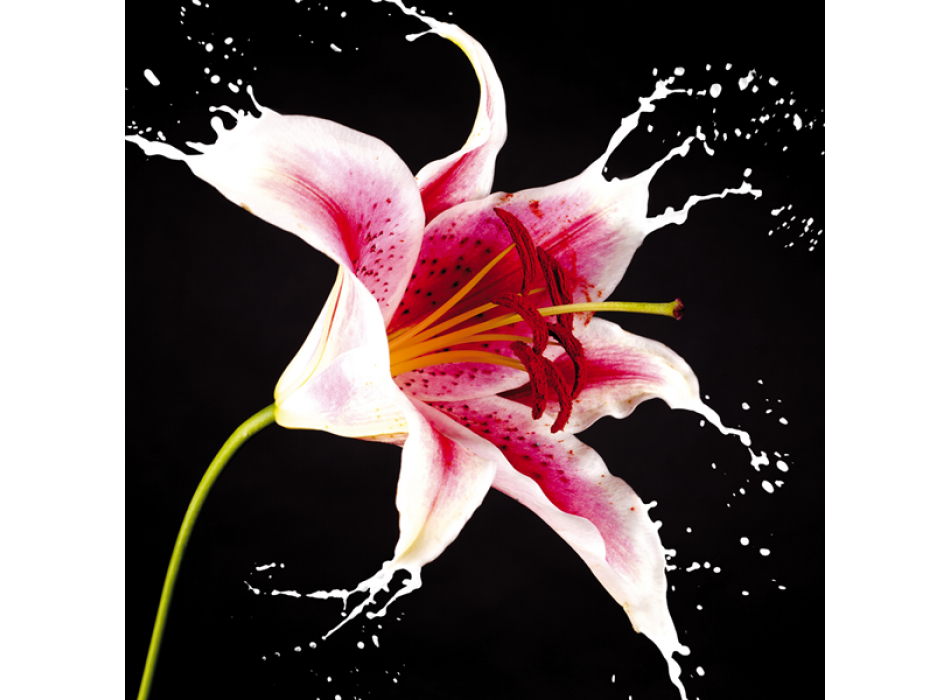 RODE LELIE G1962 PINTDECOR Schilderij