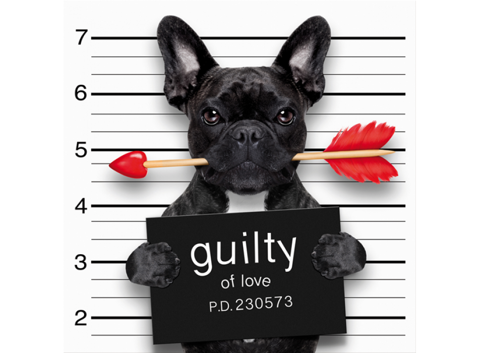 Schuldig G3358 PintDecor Schilderen