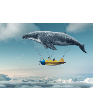 Schilderij DE ZEE IN DE LUCHT G3362 PINTDECOR