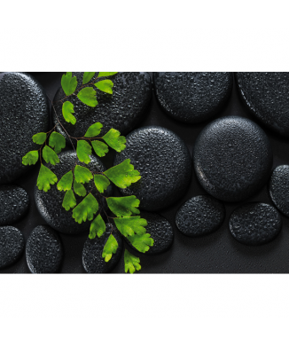 Verf GROEN EN ZWART G2270 PINTDECOR