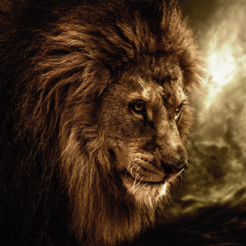 KING G1526 PINTDECOR Schilderij