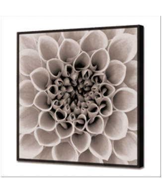 GL3432 PINTDECOR BRIGHT BLOSSOM Schilderij