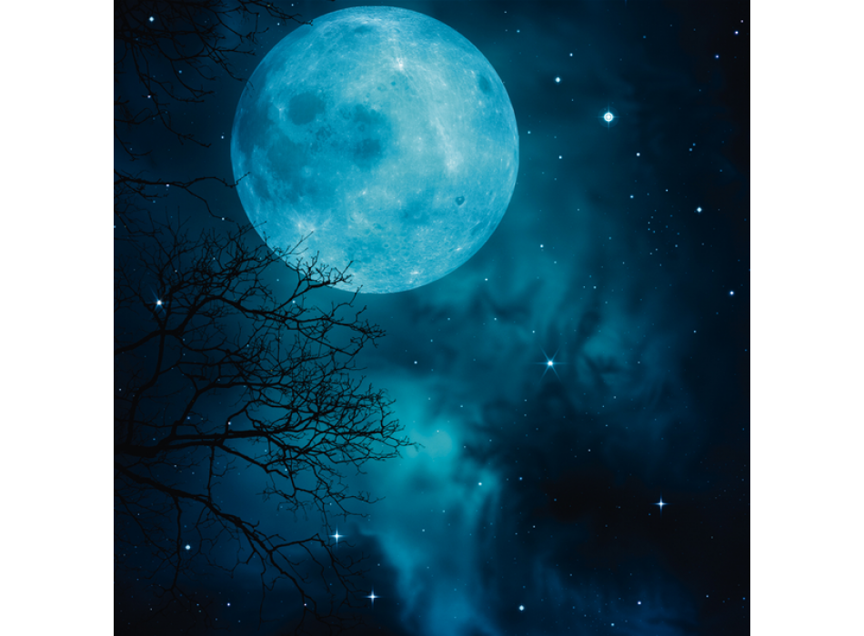BLUE MOON G2178 PINTDECOR Schilderij