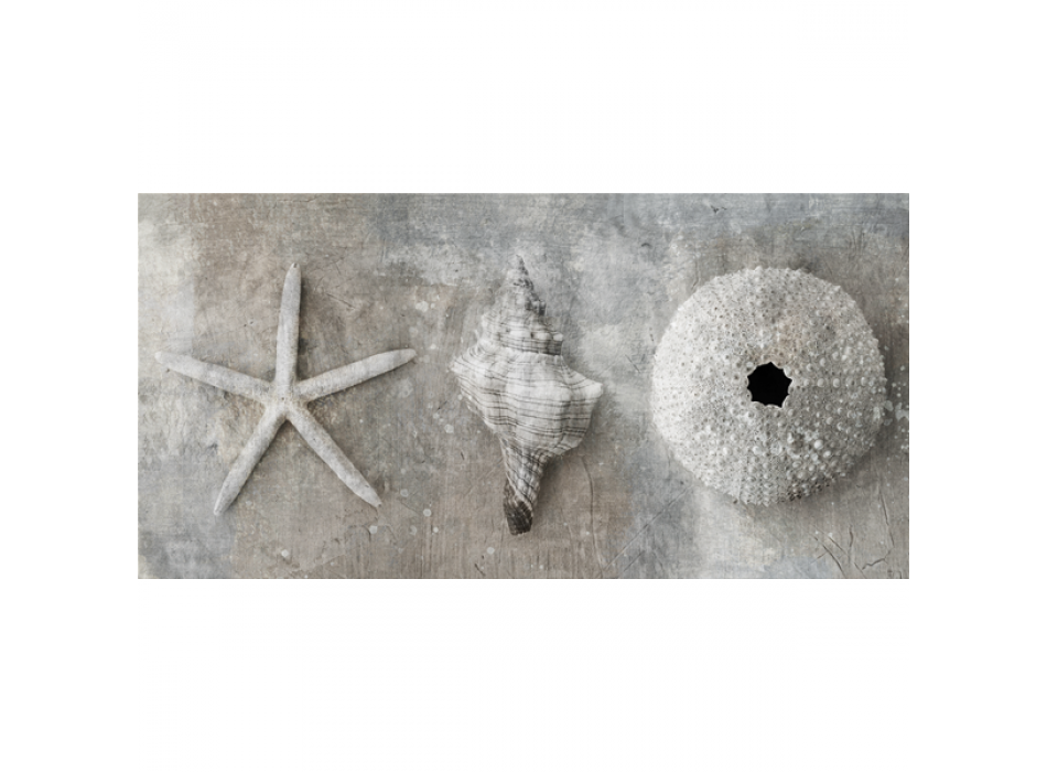 Schilderij MOLLUSCHI G2884 PINTDECOR