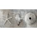Schilderij MOLLUSCHI G2884 PINTDECOR