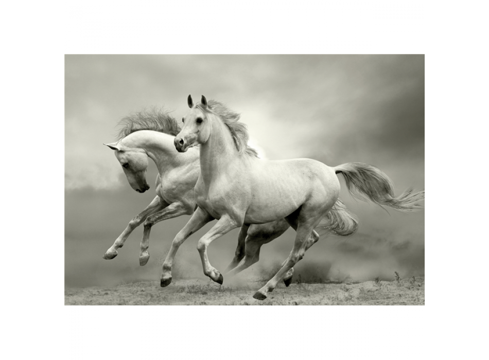 MUSTANG G3302 PINTDECOR frame