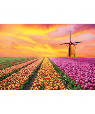 Schilderij HOLLAND LANDSCAPES G4130 PINTDECOR