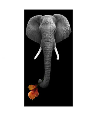 Schilderij VRIENDELIJKE GEDACHTE G2578 PINTDECOR