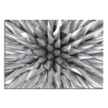 PUNTE G6986 PINTDECOR Schilderij