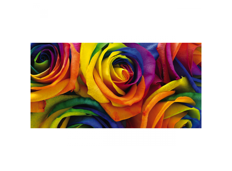 Veelkleurige rozenafbeelding G1932 PINTDECOR