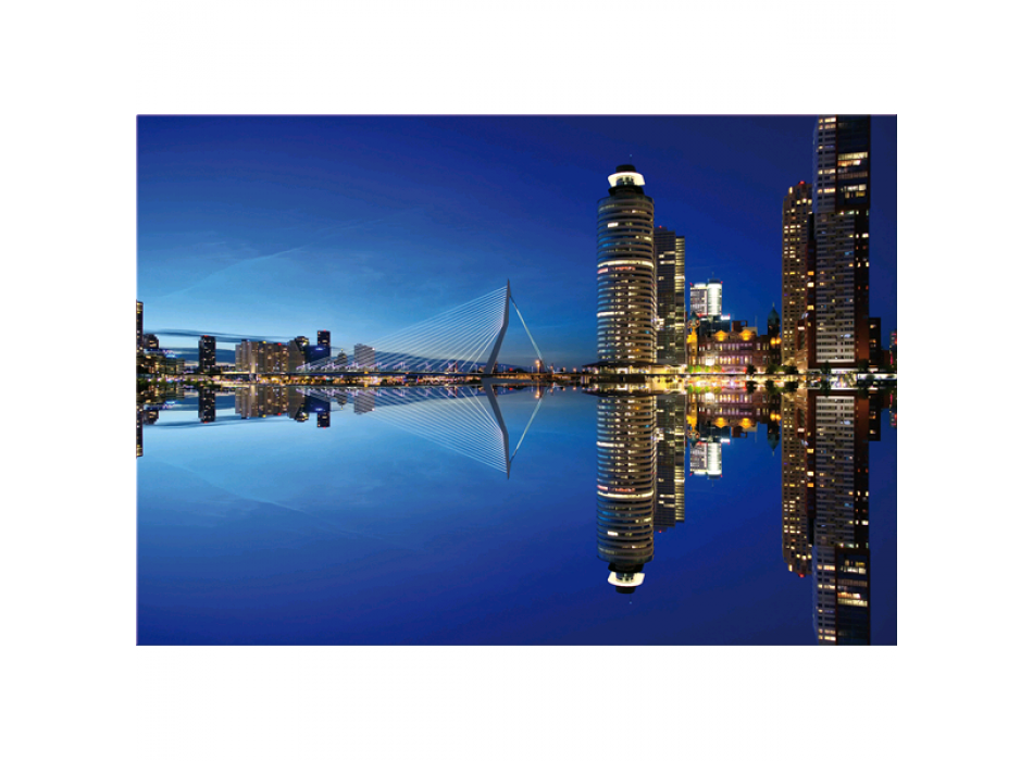 ROTTERDAM G5294 PINTDECOR schilderij