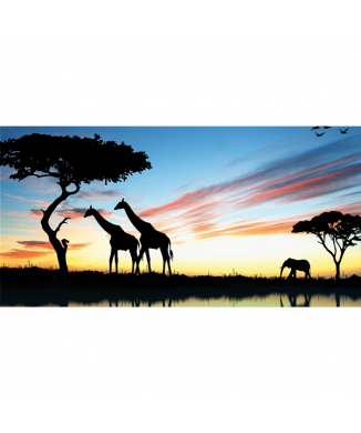 SAVANA 2 schilderij G3334 PINTDECOR