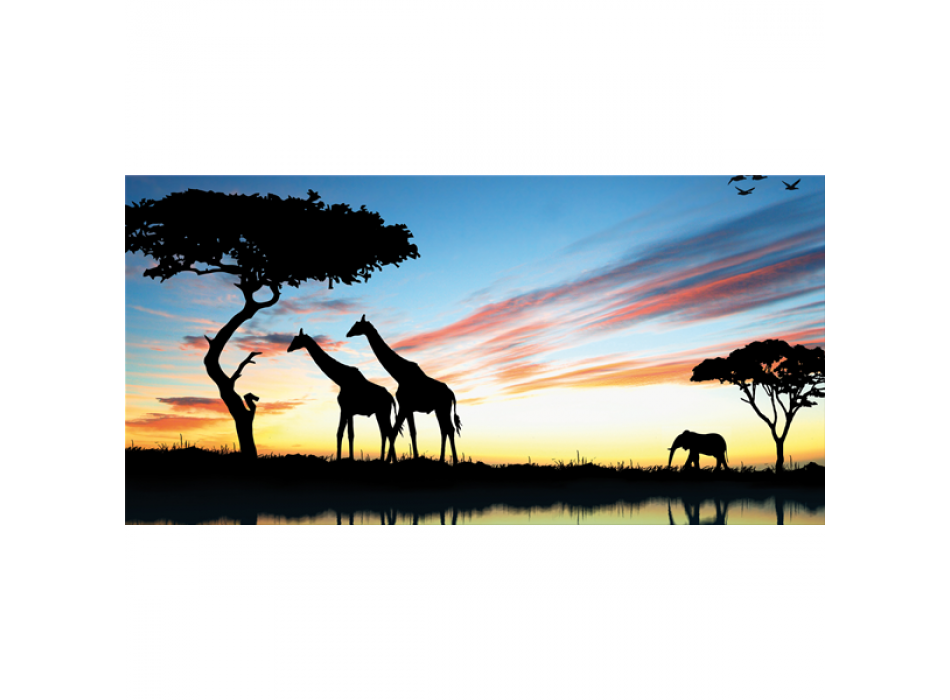 SAVANA 2 schilderij G3334 PINTDECOR