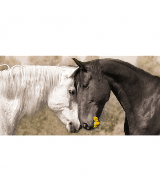 TENDERNESS G3306 PINTDECOR schilderij