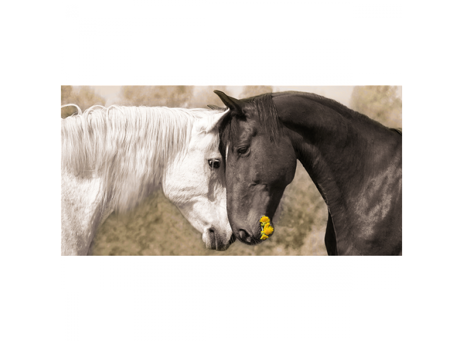 TENDERNESS G3306 PINTDECOR schilderij