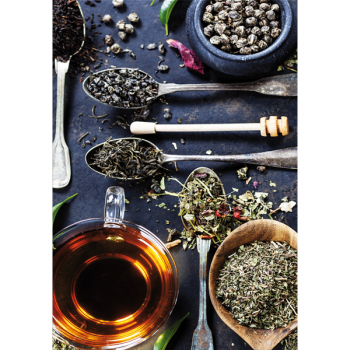 TISANA G2740 PINTDECOR schilderij