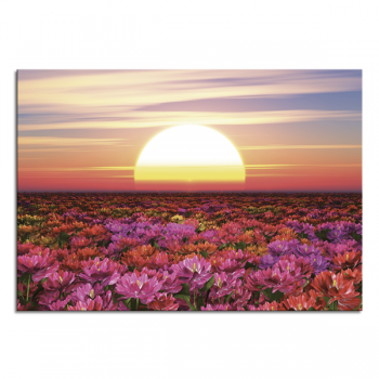 Schilderij ZONSONDERGANG TUSSEN DE BLOEMEN G6978 PINTDECOR