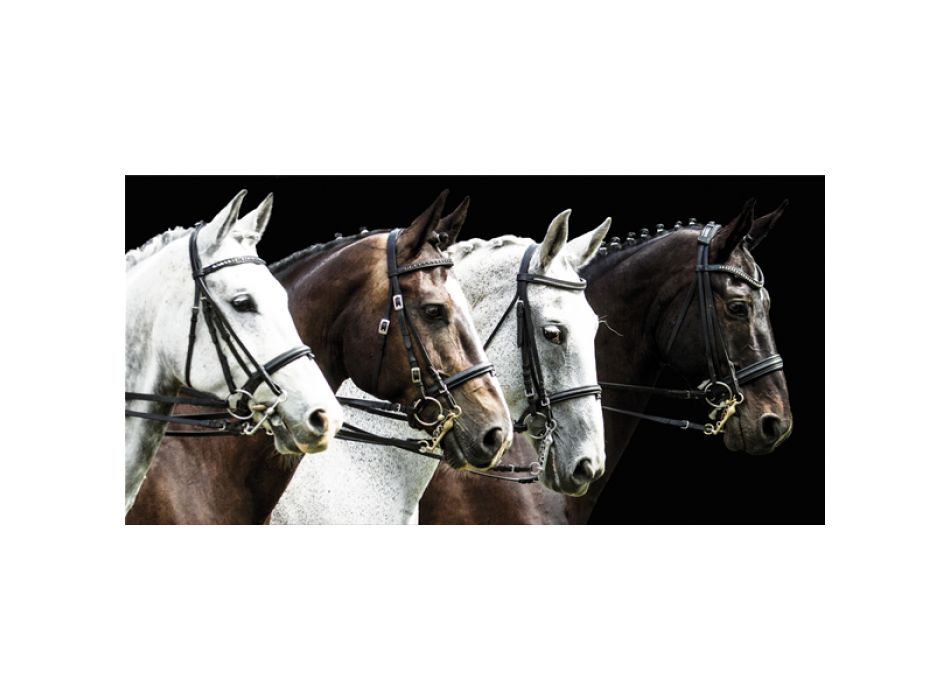 TROTTO G3310 PINTDECOR-schilderij