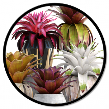 GT6290 PINTDECOR BLOEMENVAAS Schilderij