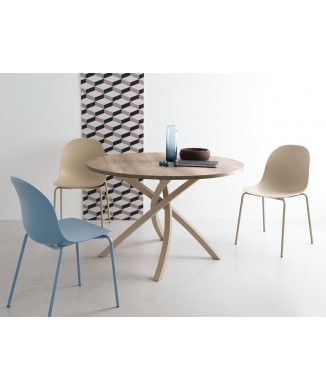 ACADEMIE CB1663-voorzitter