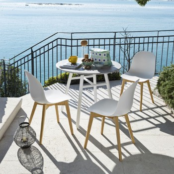 ACADEMIEVOORZITTER CB1665 CONNUBIA