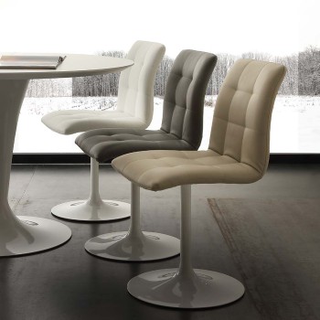 GEBIED 248 STOEL DE STOEL