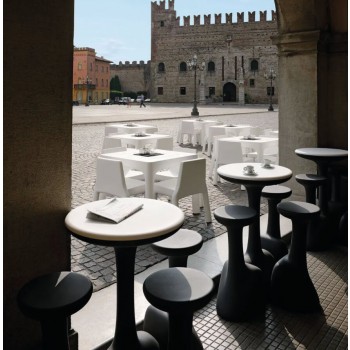 Armillaria Kruk 6249 Plust