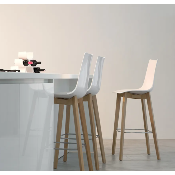 NATUURLIJKE ZEBRA ANTI-SCHOK SCHURFT ontlasting 