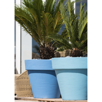 VAAS MET GLADDE RANDEN 618 SERRALUNGA