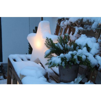 Świecąca Gwiazda 40 cm 32349W Wzór na 8 pór roku