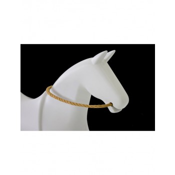 ROCKY HORSE MT310 MAGIS EU TAMBÉM