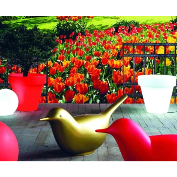DECORAÇÃO PULCINO66 SERRALUNGA
