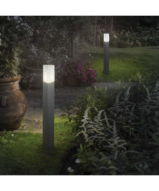PULSAR IDEAL LUX em destaque